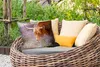 MuchoWow® Outdoor Kissen - Schottisches Hochlandrind - Produktbild-Vorschau 3