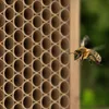 Navaris Nisthülsen für Bienenhotel Insektenhotel - Füllung Produktbild-Vorschau 2