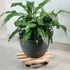 Kesper Pflanzentopfwagen - Holz - hellbraun - 35 x 35 cm Produktbild-Vorschau 3