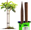 KADAX Holzstäbe 150 cm x 23 mm, 10er Set, Pflanzstäbe aus Produktbild-Vorschau 1