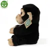 Peluche Scimpanzé 18 Cm Ecologico Anteprima dell’immagine prodotto 10