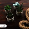 Künstliche Pflanzen Mini 4er Set Dekoration Kunstpflanzen Produktbild-Vorschau 6