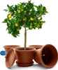 BigDean 4 Stück Blumentopf mit Untersetzer rund ø 35 cm Produktbild-Vorschau 1