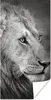 MuchoWow® Poster Löwe - Tiere - Porträt 60x120 cm - Produktbild-Vorschau 1