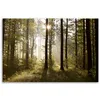 Leinwandbild Morgen im Wald 120x80 Feeby Grün bild für die Produktbild-Vorschau 3