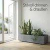 IvoQ Großer Holz-Pflanzkübel - Blumenkasten für Außen & Produktbild-Vorschau 6