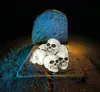 Skelett Totenschädel Dekoration Halloween Gruselfiguren Produktbild-Vorschau 2
