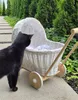 Puppenwagen aus Korbgeflecht - weiß Produktbild-Vorschau 7