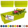 Hossi's Wholesale 10 Euro-Paletten Blumenkästen-Einsätze | Produktbild-Vorschau 1