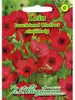 Lein | Blumensamen von N.L. Chrestensen Produktbild-Vorschau 3