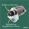 Anlasser 16 Zähne Kunststoff passend für Briggs & Stratton, Produktbild-Vorschau 2
