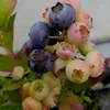 Heidelbeere Reka (R) - Vaccinium corymbosum Produktbild-Vorschau 3