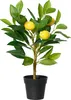 Decoris Künstlicher Zitronenbaum de 43 cm im Topf, Produktbild-Vorschau 1