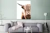 MuchoWow® Poster Schottischer Highlander - Kuh - Weiß Produktbild-Vorschau 5