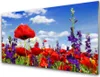 Acrylglasbilder 100x50 Wandbild Druck Blumen Natur Produktbild-Vorschau 1