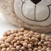 GRÜNSPECHT Kirschkernkissen Hund Produktbild-Vorschau 5