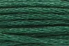 A close-up, detailed view of green embroidery thread. Produktbild-Vorschau