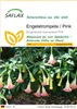 SAFLAX - Engelstrompete / Pink - 10 Samen - Brugmansia Produktbild-Vorschau 1