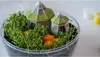 Clementoni Clementoni Harry Potter - Terrarium 19248 Voir les images du produit 5