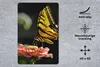 MuchoWow® Mauspad Mousepad Schmetterling - Botanisch - Produktbild-Vorschau 2