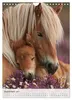 Stolze Haflinger Pferde (Wandkalender 2027 DIN A4 hoch), Produktbild-Vorschau 7