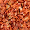 Supravit Karottenchips 2 kg | Pferdeleckerlis ohne Zucker & Produktbild-Vorschau 2