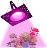 50W Pflanzenlampe LED Vollspektrum Pflanzenlicht Produktbild-Vorschau 1