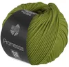 Promessa 032 | Avocadogrün Produktbild-Vorschau 1