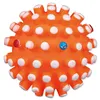 Igelball für Hunde ø 6 cm petrol Náhľad obrázku produktu 1
