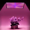 A plant light illuminates a potted plant. Náhľad obrázku produktu