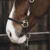 Kentucky Horsewear Licol d'écurie cuir marron complet Voir les images du produit 3