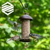 Birds eating from a bird feeder in a garden. Produktbild-Vorschau