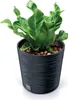 Záhradný kvetináč 30 cm okrúhly Terasa Záhrada Home Náhľad obrázku produktu 14