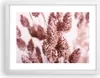 Gerahmtes Poster - Weißer Rahmen - Getrocknet Blume Eco - Produktbild-Vorschau 1