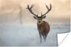 MuchoWow® Poster Hirsche - Natur - Winter 120x80 cm - Produktbild-Vorschau 1