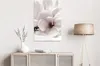 Vlies Leinwandbild - Blooming Light (1 Part) Vertical 40x60 Produktbild-Vorschau 2