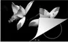 KitchenYeah© Herdabdeckplatte Zwei Orchideenblüten - Produktbild-Vorschau 1