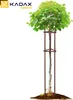 KADAX Baumstütze 195 cm aus robustem Holz, Baumpfahl zur Produktbild-Vorschau 9