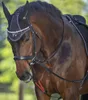 A close-up of a brown horse wearing a black bridle and saddle, with a blurred green background. Produktbild-Vorschau