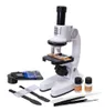 A white microscope with various accessories laid out in front of it, including slides, droppers, and bottles. Voir les images du produit