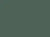 A solid dark green background. Anteprima dell’immagine prodotto