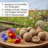 Terra Discount Lehmpulver Braun 5 kg – Naturlehm für Produktbild-Vorschau 6