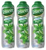 Teisseire Sirup Zero Grüne Minze 600ml für Cocktails (3er Produktbild-Vorschau 1