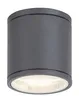 A close-up studio shot of a dark gray cylindrical outdoor ceiling light with a white light source visible inside. Náhľad obrázku produktu