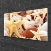 Acrylglasbilder 100x50 Wandbild Druck Seesterne Muscheln Produktbild-Vorschau 2