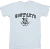 Harry Potter - "Hogwarts" T-Shirt für Herren BI30384 (3XL) Produktbild-Vorschau 1