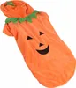 Halloweenowe ubranko dla psa z dynią, uroczy ciepły kostium Podgląd zdjęcia produktu 3
