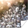 MuchoWow® Poster Blumen - Sonne - Sepia 50x50 cm - Produktbild-Vorschau 1