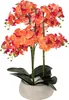 Orchidée artificielle en pot « Sanae » - Pot en ciment Voir les images du produit 1