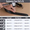 Grand Line Leder Hundehalsband, Lederhalsband Hund mit Produktbild-Vorschau 5